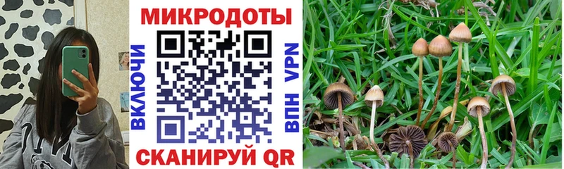 Псилоцибиновые грибы мухоморы  наркотики  Ясногорск 
